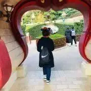 くまの画像
