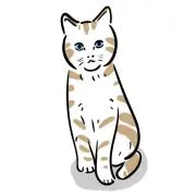 Myako