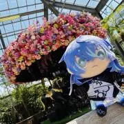 くるり 最短当日発送◎の画像