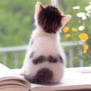 あかりん