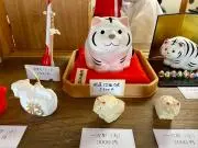 NANAMIの画像