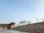 パク_(..)_翌日発送の画像