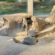 りあの画像