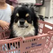 ととまる