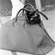 Fashion.coの画像