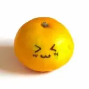 ひーくんの画像