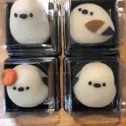 すーこの画像