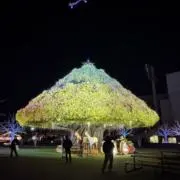 7‼️の画像