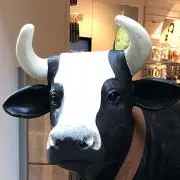 ＊モウ＊
