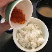 shinshinの画像