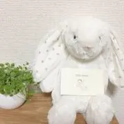 はるうららの画像