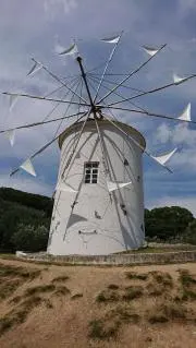 こなゆきの画像