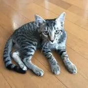 あつひろ