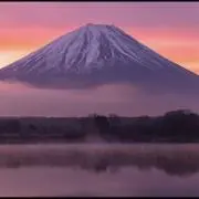 godzilla