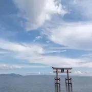 ハマ