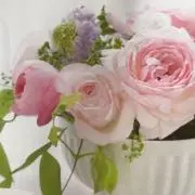 あーちゃんの画像