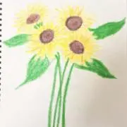即日発送　返信早いですの画像