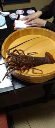 じじの画像
