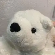 ☆☆☆みーちゃん☆☆☆の画像