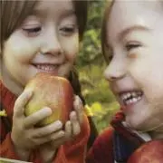 Piiroの画像