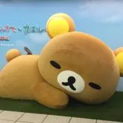 Nひめの画像