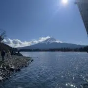 ヤン