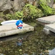 ちゅうかの画像
