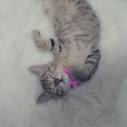 あやと