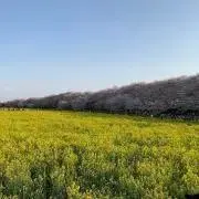 最短発送は7/28発送です。はなはな。の画像