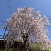 きさの画像