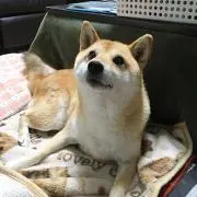 なおの画像