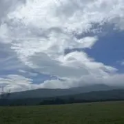 りょう⭐︎即日発送の画像