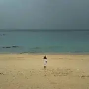 ★snp★の画像