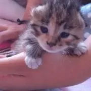 ユッキー