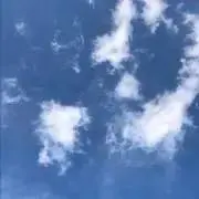 miiの画像