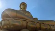 いとちん