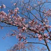 mo-ta⭐︎1〜2日で発送⭐︎の画像