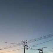 みかんの画像