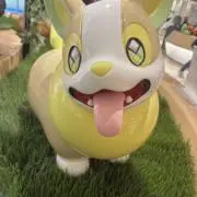 chakoの画像