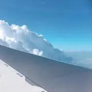 miitの画像