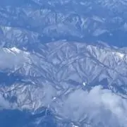 まさき