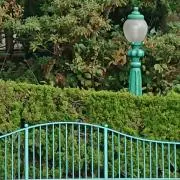 イロリーの画像