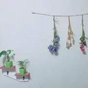 popo