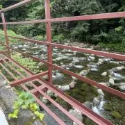 はるの画像