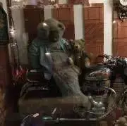 らっこ☆の画像