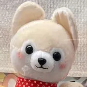 はーちゃんの画像