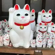 Lucky Catの画像