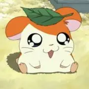 ⭐️の画像