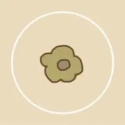 nana⭐︎プロフ必読⭐︎の画像