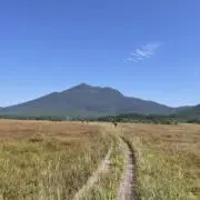 ランニングマン